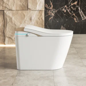 Luxury Smart Bidet Toilet - Voice Control, Automatic Functions and Aromatherapy with Smart Adjustments