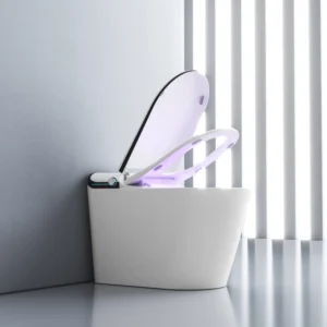 U2 Smart Toilet with Jet Siphon Flush – Instant Heating and IPX4 Waterproof with UV Sterilization