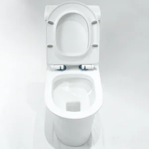 WP-8610 ceramic integrated toilet has silent opening lid