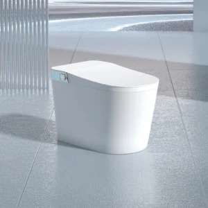 093 Modern Tankless Smart Bidet Toilet for Hotels and Residential Projects