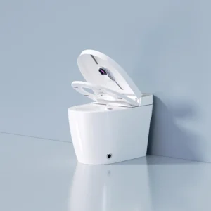 White Smart Toilet with Remote Control, Heated Seat, and Night Light Function