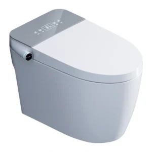 Close Smart Toilet with Remote Control, Heated Seat, and Night Light Function