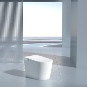 Right 093 Modern Tankless Smart Bidet Toilet for Hotels and Residential Projects