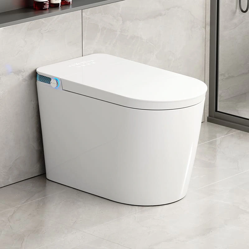 067 Intelligent One-Piece Toilet with Auto Open Lid and Warm Air Dryer