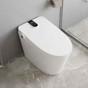 Bird's-eye view 029 Smart Bidet Toilet Automatic Flushing Heated Seat Tankless Design Suitable for Hotels Apartments Projects