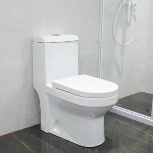 WP-8600 Ceramic WC Toilet Bathroom Toilet Comfort Height Bidet Seat