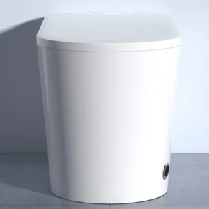 Front 065 Luxury Smart Bidet Toilet with LED Display and Instant Heating System