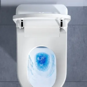Flush System 065 Luxury Smart Bidet Toilet with LED Display and Instant Heating System