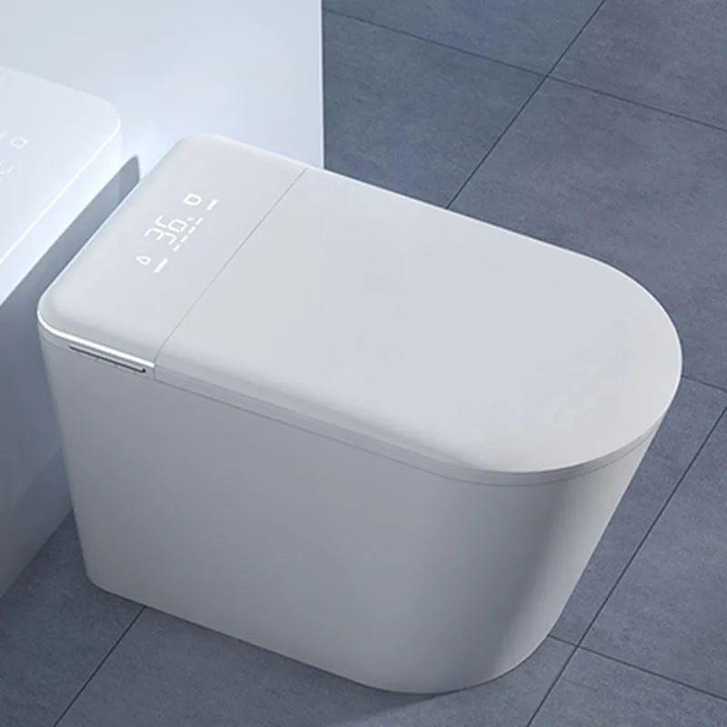 065 Luxury Smart Bidet Toilet with LED Display and Instant Heating System