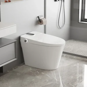 Real Shot 029 Smart Bidet Toilet Automatic Flushing Heated Seat Tankless Design Suitable for Hotels Apartments Projects
