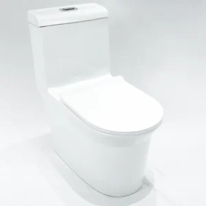 WP-8610 Ceramic integrated floor-standing toilet