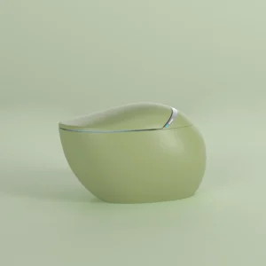 Green smart toilet with built-in pressure tank and multi-mode comfort system