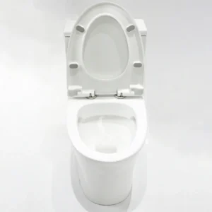 WP-8609 All-in-one bathroom toilet, dual flush system, comfort height bidet seat, high temperature firing