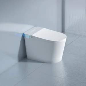 Grey 093 Modern Tankless Smart Bidet Toilet for Hotels and Residential Projects