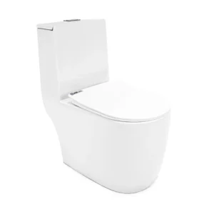 WP-1163 Stylish White Bathroom Toilet, Washdown Toilet, Comfort Height Bidet Seat