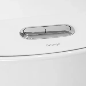 WP-1826 Bathroom Integrated Toilet Dual Flush System