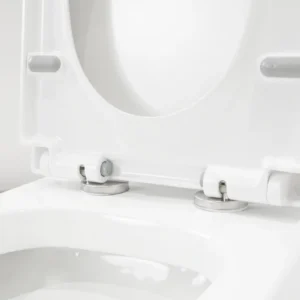 WP-0067A Bathroom floor-standing toilet with slow-down seat and dual flush system, silent opening