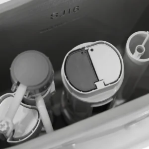 WP-0067A Bathroom floor-standing toilet with slow-down seat and dual flush system, dual flush mode