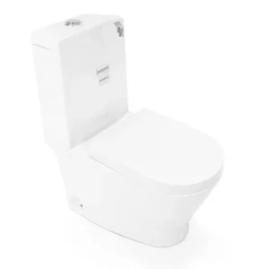 WP-1023 all-in-one washdown toilet with comfort height bidet seat and slow-down cover, available in a wide range of prices, from economy to high-end.