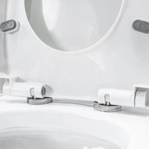 WP-1023 One-piece flush toilet with comfortable height bidet seat and slow-down cover