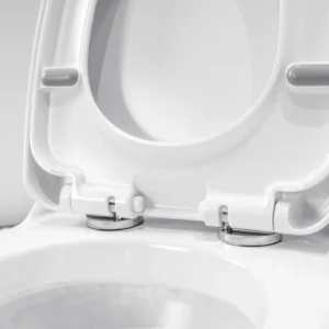 WP-8046 One-piece ceramic toilet, direct-flush bathroom toilet, slow-down cover
