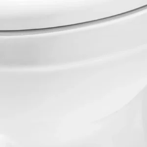 WP-8046 One-piece ceramic toilet, direct flush bathroom toilet, with glaze and stain-resistant coating