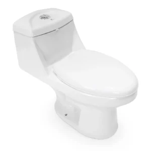 Right Side WP-H736 Ceramic Bathroom Washdown Toilet Comfort Height Bidet Seat Siphonic Flush System