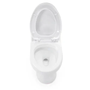 Open Effect WP-H736 Ceramic Bathroom Washdown Toilet Comfort Height Bidet Seat Siphonic Flush System