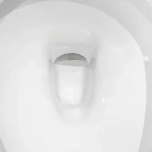 Washdown Hole WP-H736 Ceramic Bathroom Washdown Toilet Comfort Height Bidet Seat Siphonic Flush System