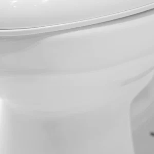 Detail WP-H736 Ceramic Bathroom Washdown Toilet Comfort Height Bidet Seat Siphonic Flush System