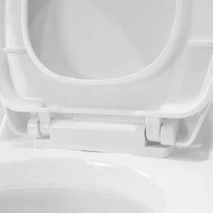 Bidet Cover WP-H736 Ceramic Bathroom Washdown Toilet Comfort Height Bidet Seat Siphonic Flush System