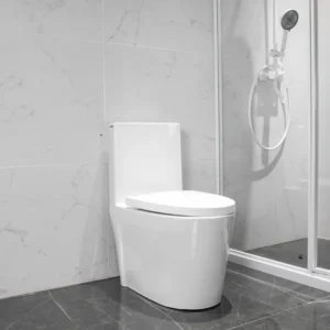 WP-1826 Bathroom One-Piece Toilet Dual-Flush System Rimless Design