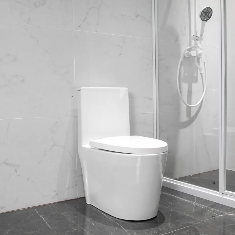 WP-1826 Bathroom One-Piece Toilet Dual-Flush System Rimless Design