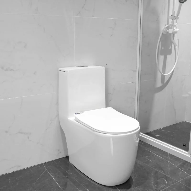 WP-1163 Stylish White Bathroom Toilet Washdown WC Toilet Comfort Height Bidet Seat