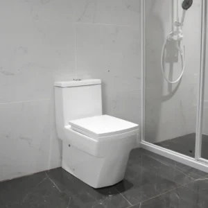 WP-0067A Bathroom Floor-mounted Toilet Soft-Close Seat Dual-flush System