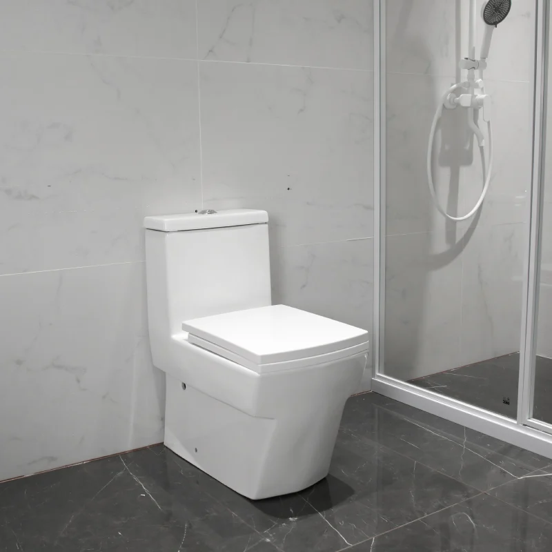 WP-0067A Bathroom Floor-mounted Toilet Soft-Close Seat Dual-flush System