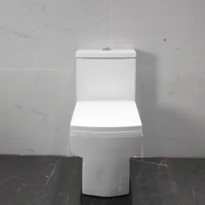 WP-0067A Bathroom floor-standing toilet with slow-down seat and dual flush system, square toilet