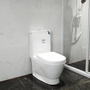 WP-1023 One-piece Washdown Toilet Comfort Height Bidet Seat Soft-Close Cover
