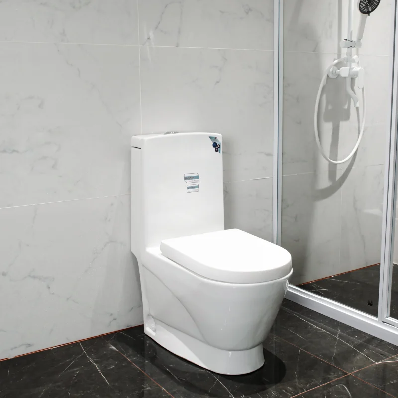 WP-1023 One-piece Washdown Toilet Comfort Height Bidet Seat Soft-Close Cover