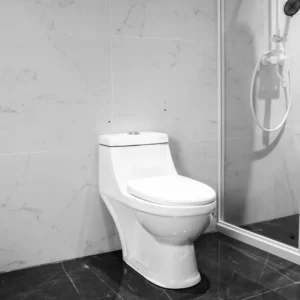 WP-8046 One-Piece Ceramic WC Toilet Washdown Bathroom Toilet Soft-Close Cover