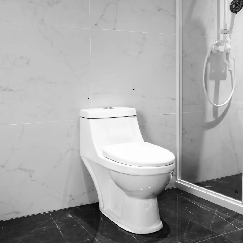 WP-8046 One-Piece Ceramic WC Toilet Washdown Bathroom Toilet Soft-Close Cover