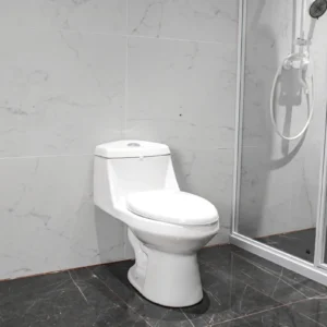 Right Side WP-H736 Ceramic Bathroom Washdown Toilet Comfort Height Bidet Seat Siphonic Flush System