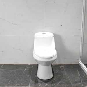 WP-H736 Ceramic Bathroom Washdown Toilet Comfort Height Bidet Seat Siphonic Flush System