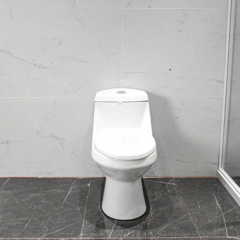 WP-H736 Ceramic Bathroom Washdown Toilet Comfort Height Bidet Seat Siphonic Flush System