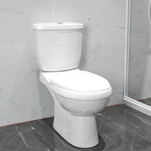 WP-1001 Bathroom Ceramic Two-piece Toilet Freestanding Toilet Soft-Close Cover
