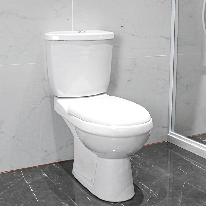 WP-1001 Bathroom Ceramic Two-piece Toilet Freestanding Toilet Soft-Close Cover