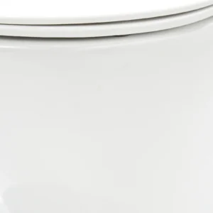 WP-8057 polished white two-piece washdown bathroom toilet, with smooth and dense surface, not easy to absorb water