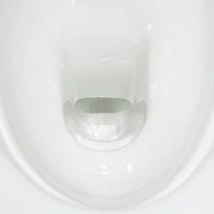 WP-5004 one-piece bathroom ceramic toilet with comfortable height, featuring glazed anti-fouling and anti-stick design