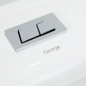 WP-8610 ceramic integrated toilet with dual flush system