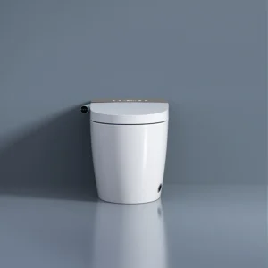 Front Smart Toilet with Remote Control, Heated Seat, and Night Light Function